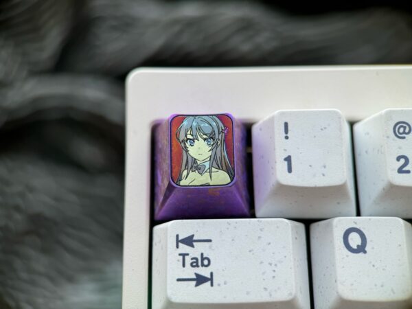 Mai Sakurajima 1U - 51