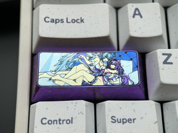 Robin and Castorice 2.25U keycaps - 53